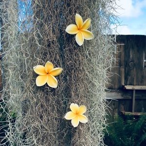 Meet your Posher, Imani